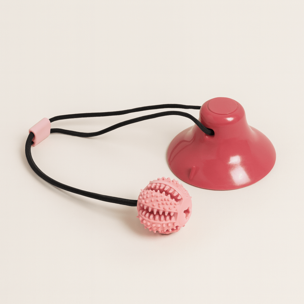 Jouet à Mâcher Interactif pour Chiens – Balle Puzzle avec Ventouse, Distributeur de Nourriture et Nettoyage des Dents